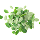 Side view of PURE ORIGINAL INGREDIENTS Moringa Powder container
