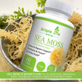 Side view of Simple Life Nutrition Irish Sea Moss Capsules showing label