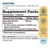 Side view of Vitamin World Grape Seed Extract bottle
