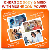 SIGNILIFE 10-in-1 Mushroom Supplement Softgels back view
