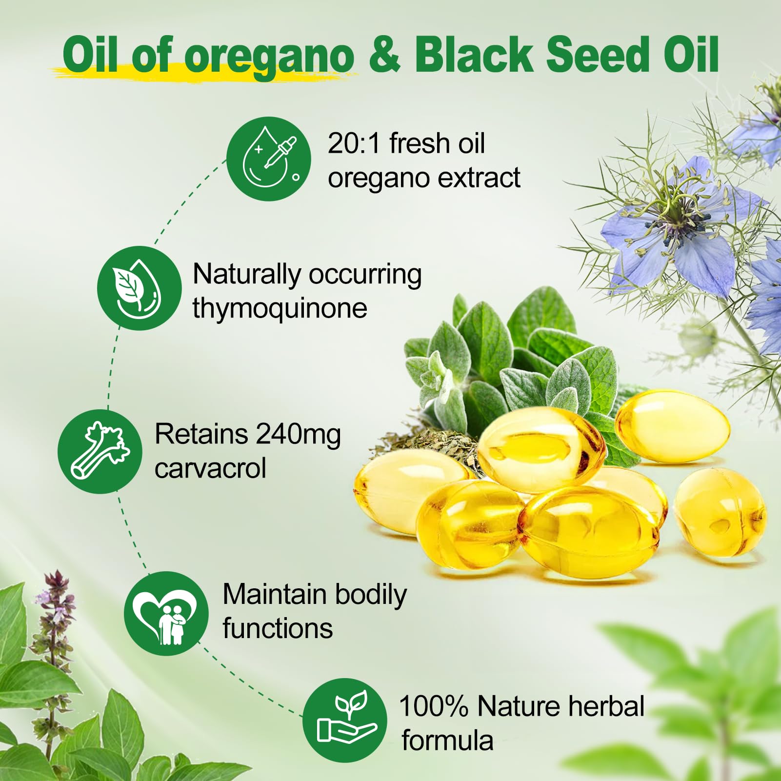 SIGNILIFE Oregano Oil Softgels displayed with fresh oregano