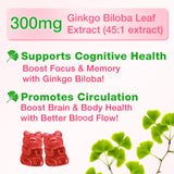 Sijigood Ginkgo Biloba Gummies family-friendly packaging