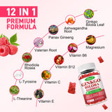 Sijigood Ginkgo Biloba Gummies with ginseng on a table