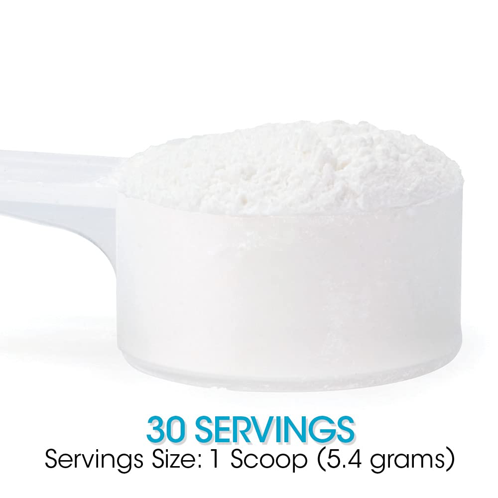 Silver Fern Gut Repair Supplement powder in a scoop