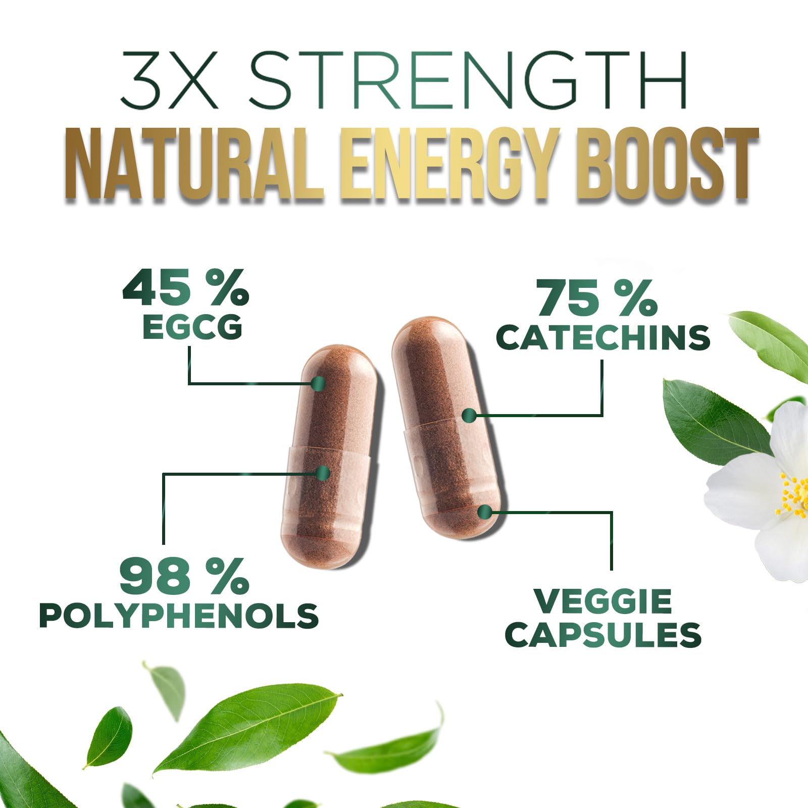 SILVERONYX Green Tea Extract Capsules with dosage details