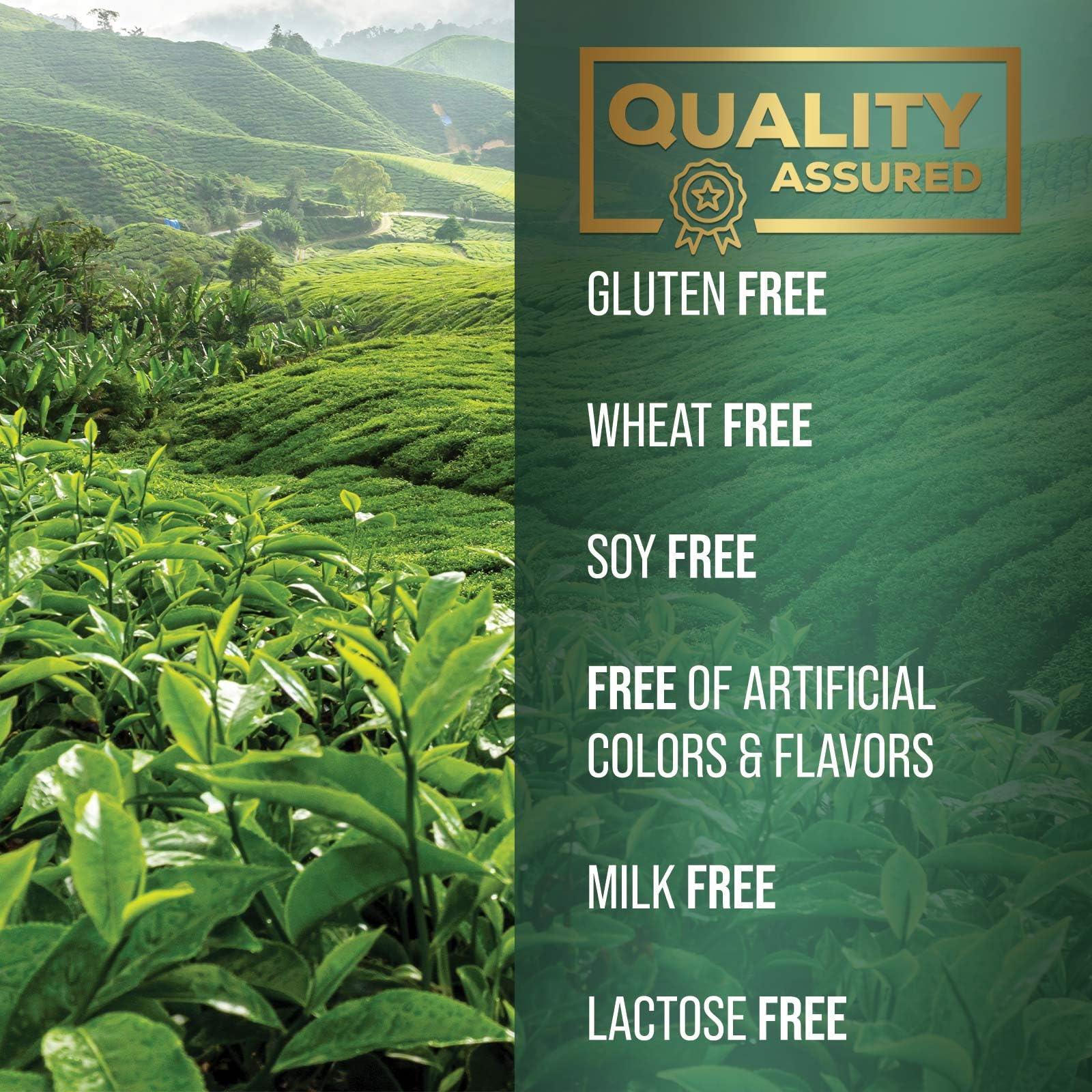 SILVERONYX Green Tea Extract Capsules with natural green tea leaves