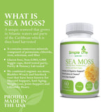 Simple Life Nutrition Irish Sea Moss Capsules with measuring spoon