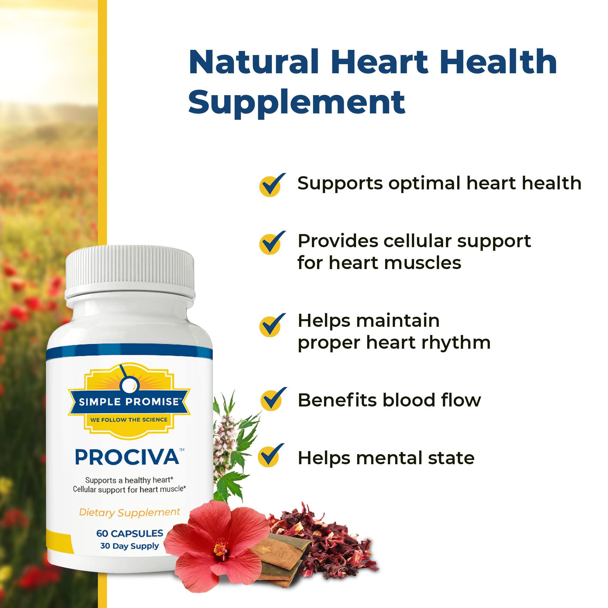 Simple Promise Arjuna Supplement capsules close-up