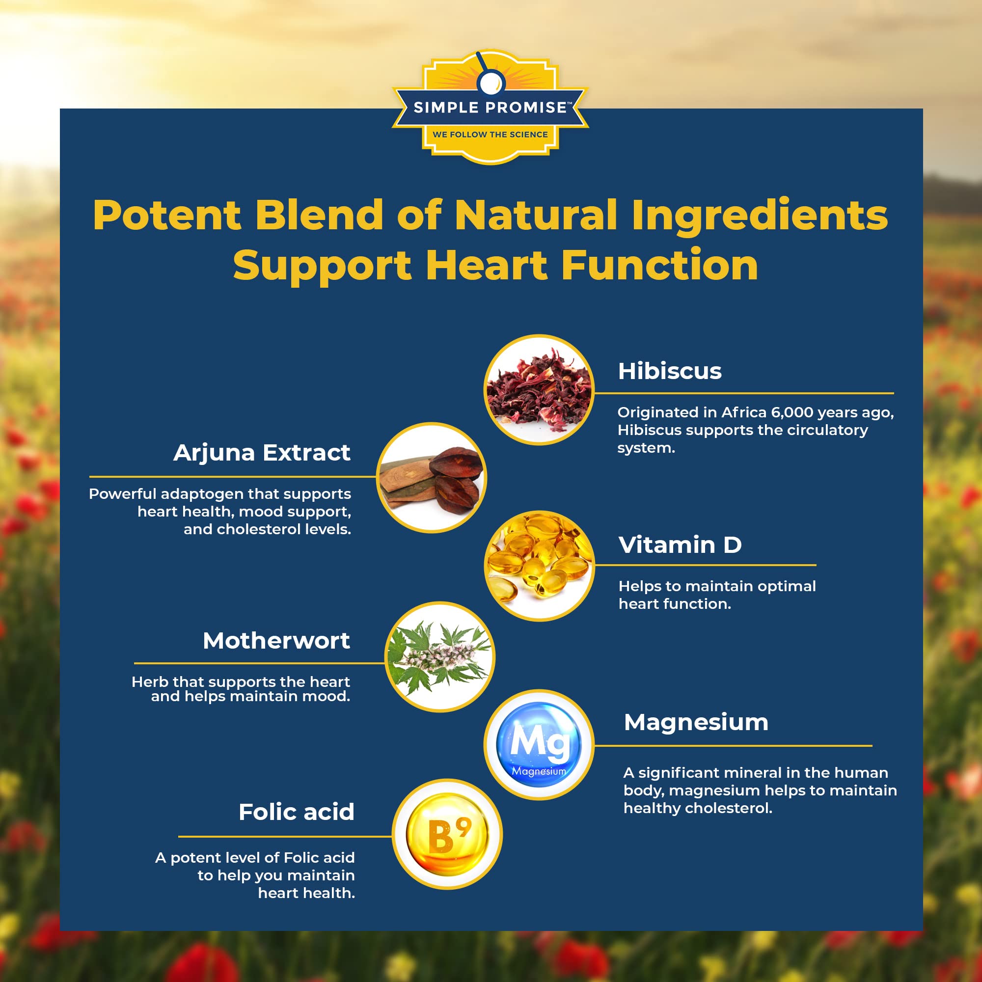 Simple Promise Arjuna Supplement in a lifestyle setting