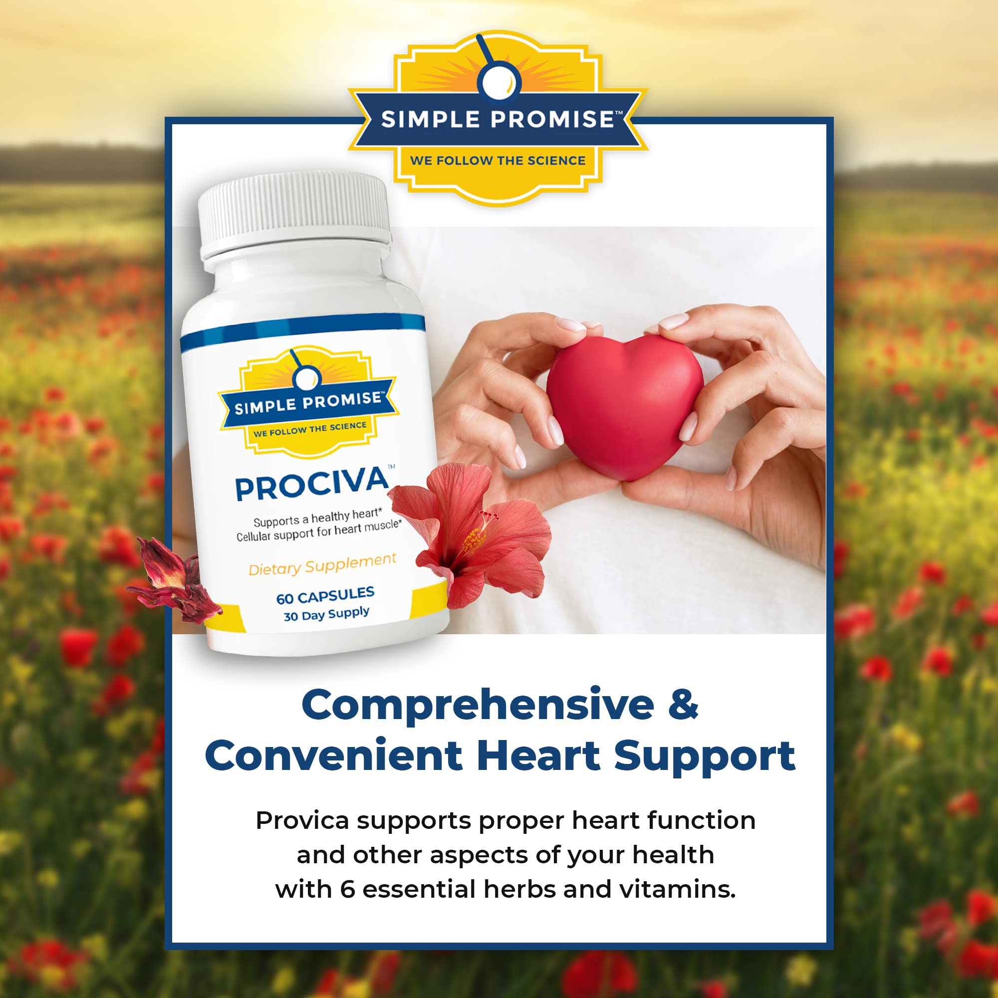 Simple Promise Arjuna Supplement ingredients list