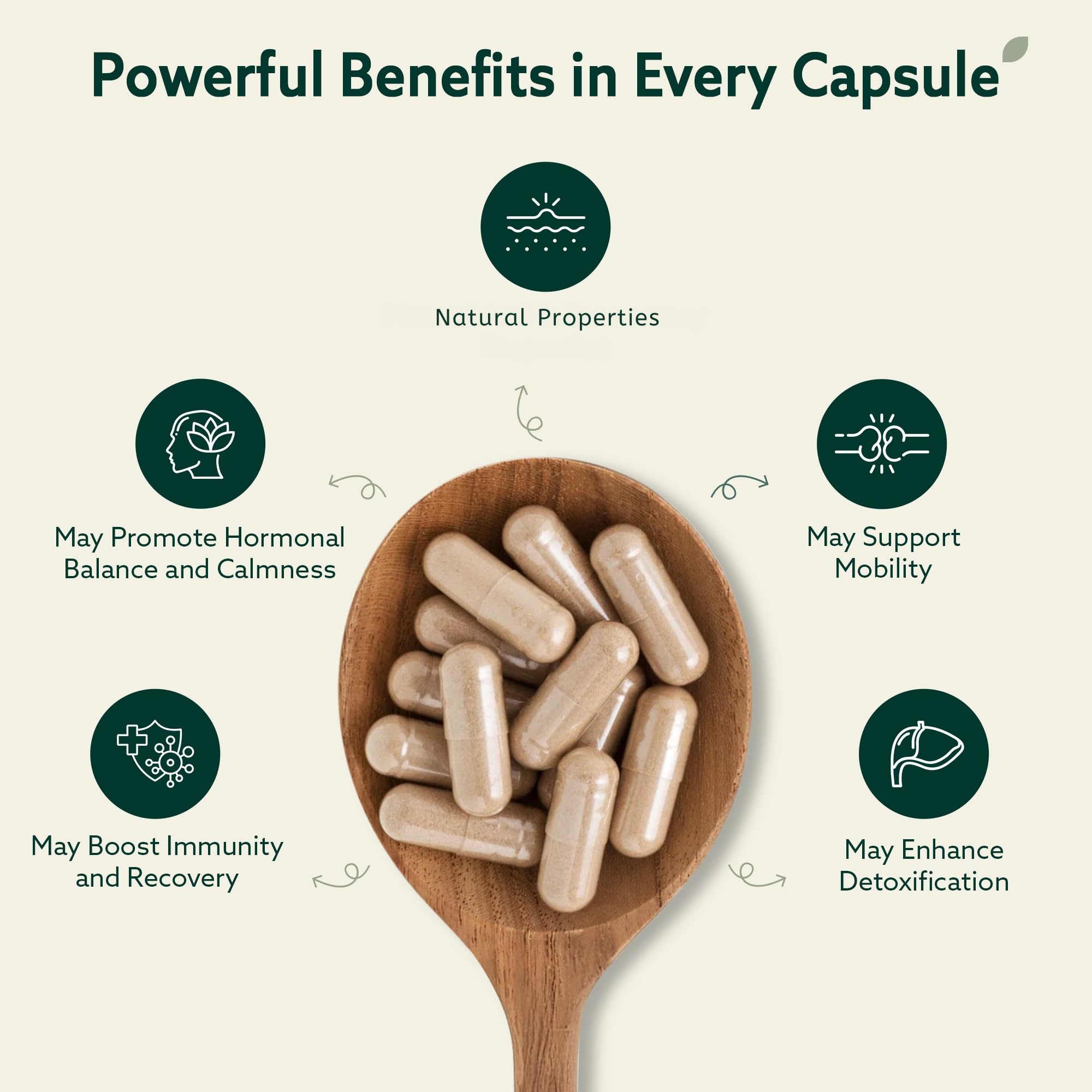 SIMPLEME Daily Power Blend 10-in-1 Superfood Supplement packaging side view