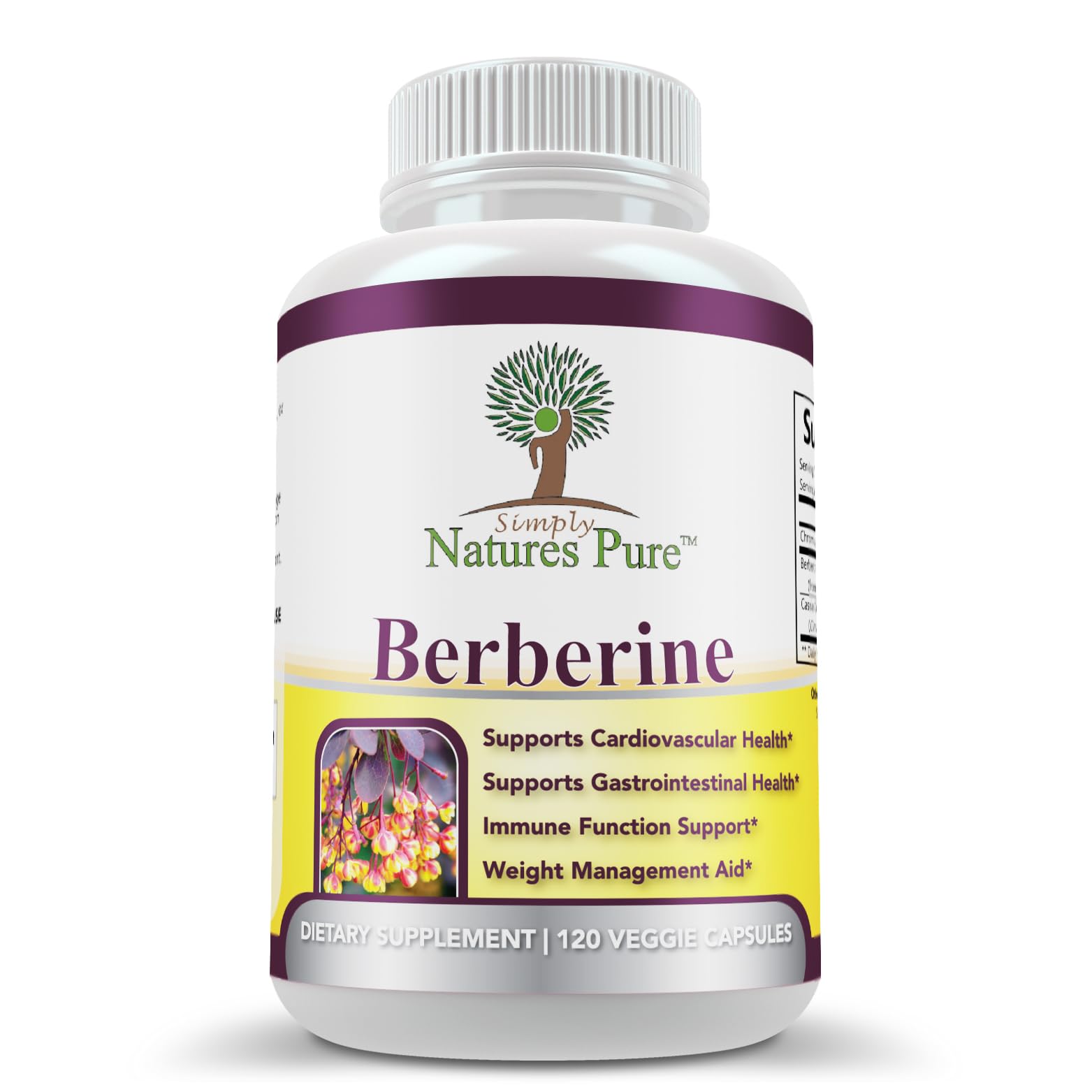 Simply Natures Pure Berberine 500mg supplement capsule front view