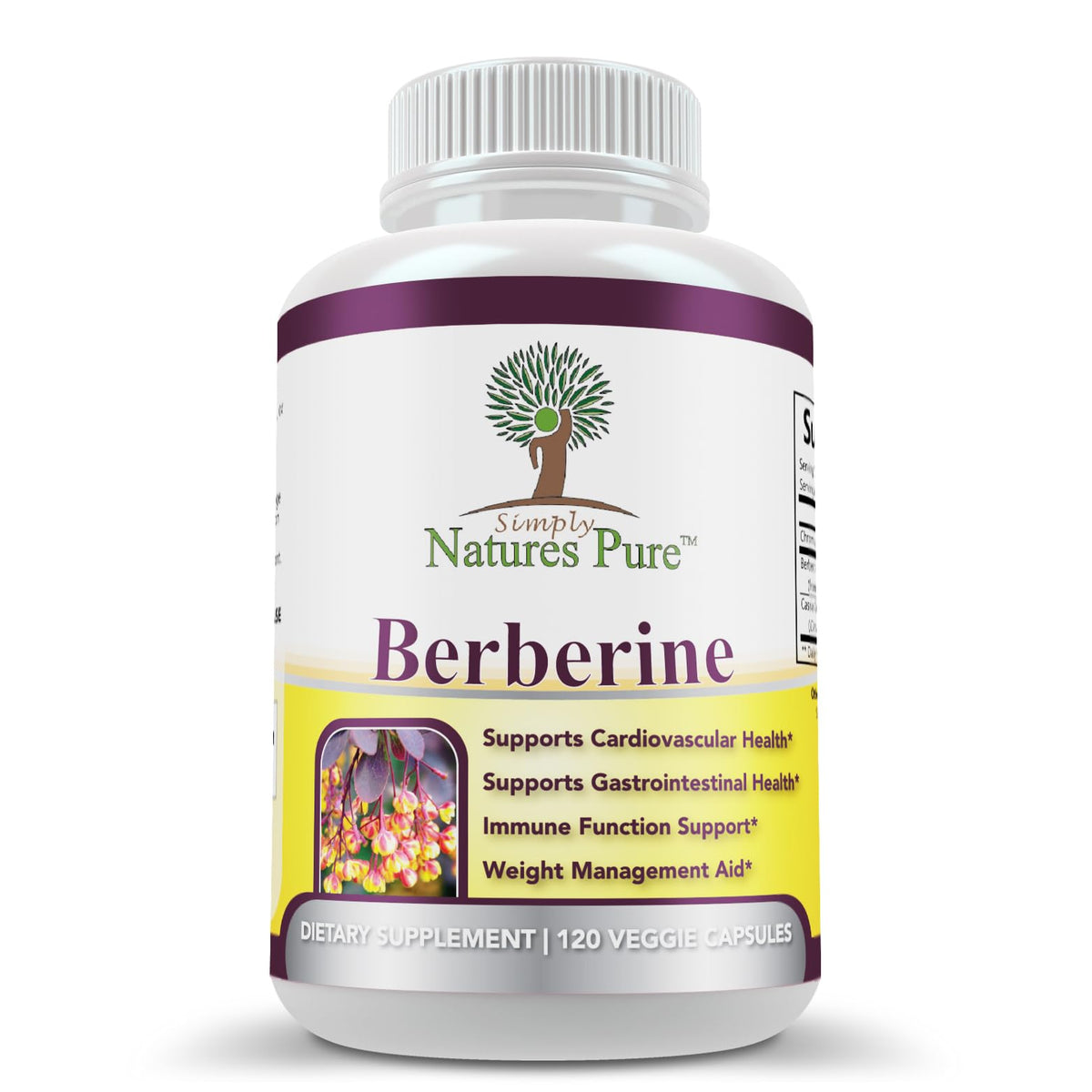 Simply Natures Pure Berberine 500mg supplement capsule front view