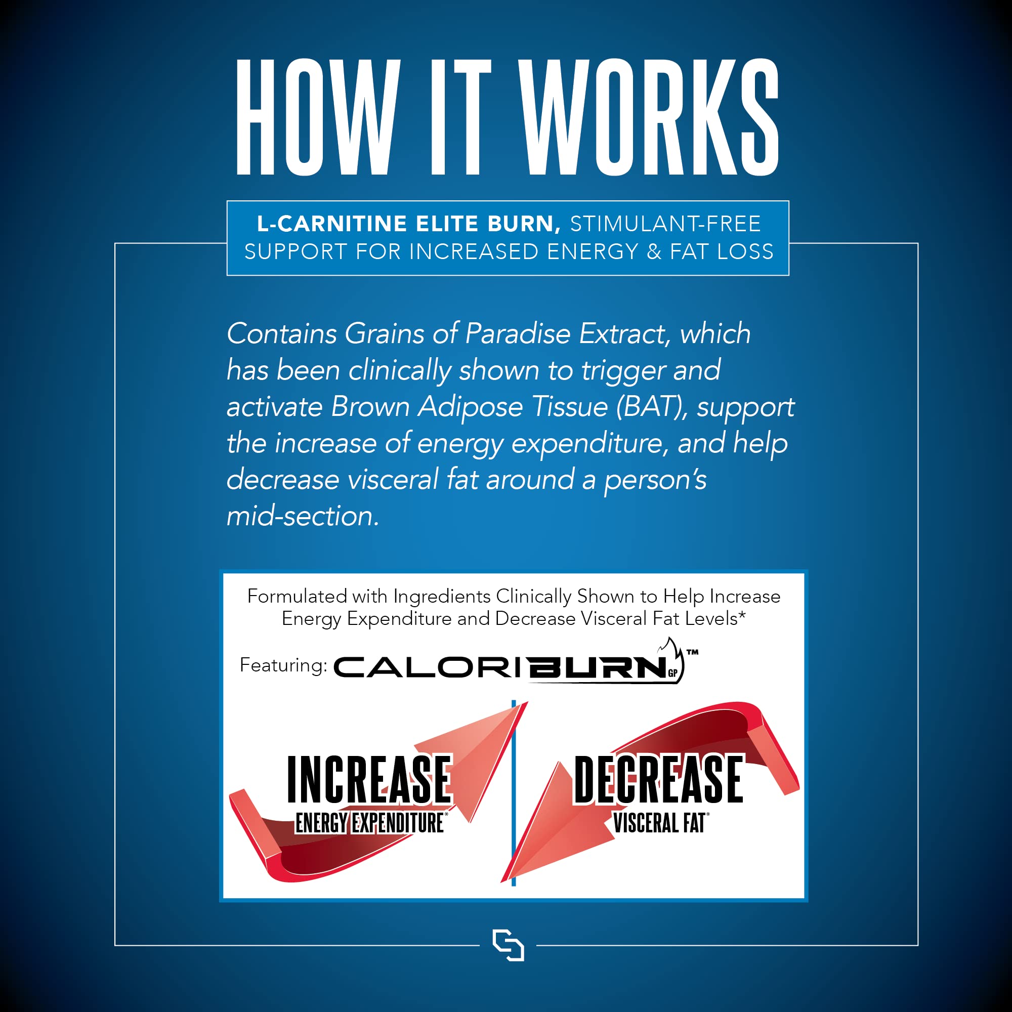 SIRENLABS L-Carnitine ELITE BURN 540g ingredients list