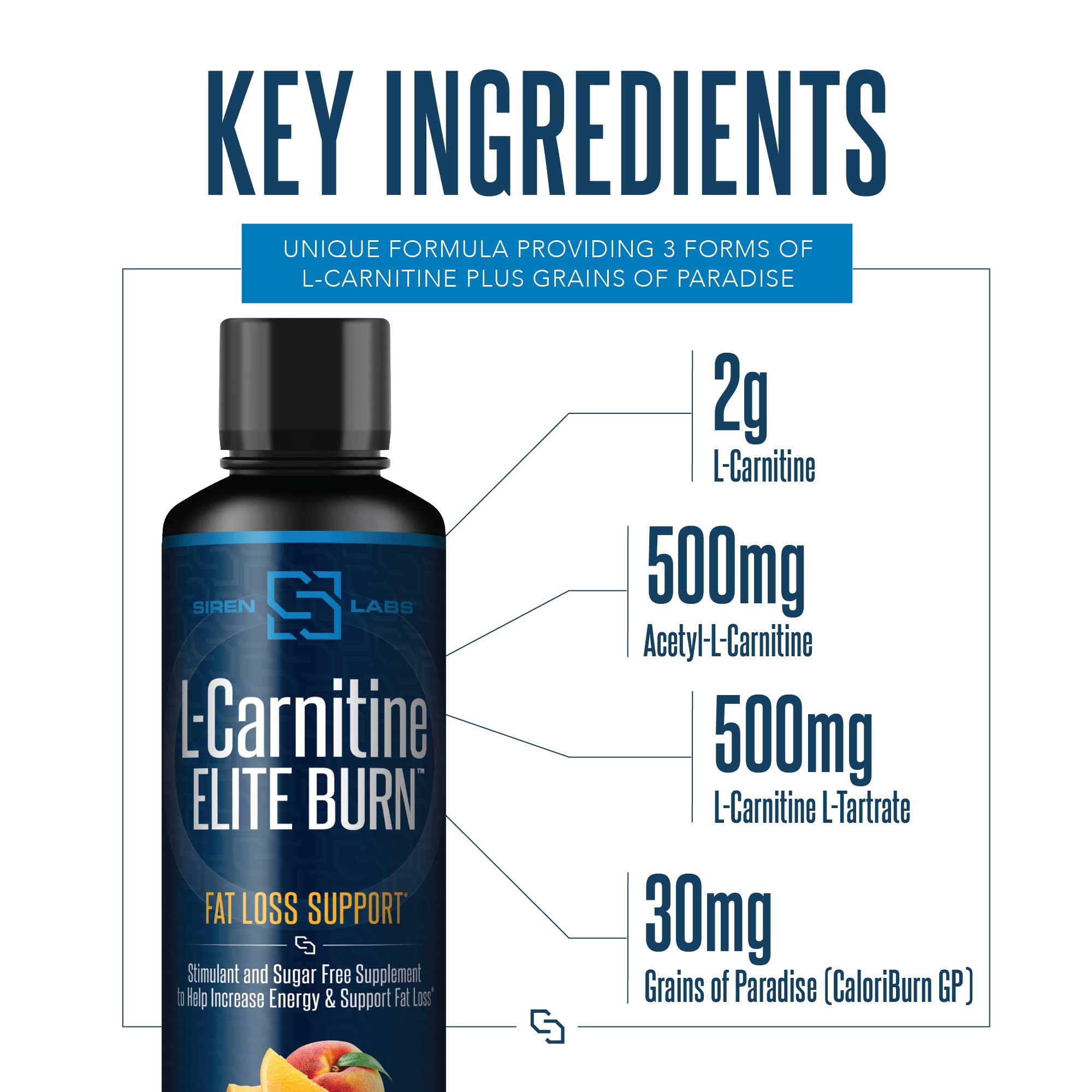 SIRENLABS L-Carnitine ELITE BURN 540g serving suggestion