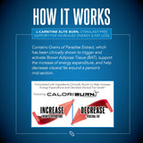 SIRENLABS L-Carnitine ELITE BURN ingredients list close-up
