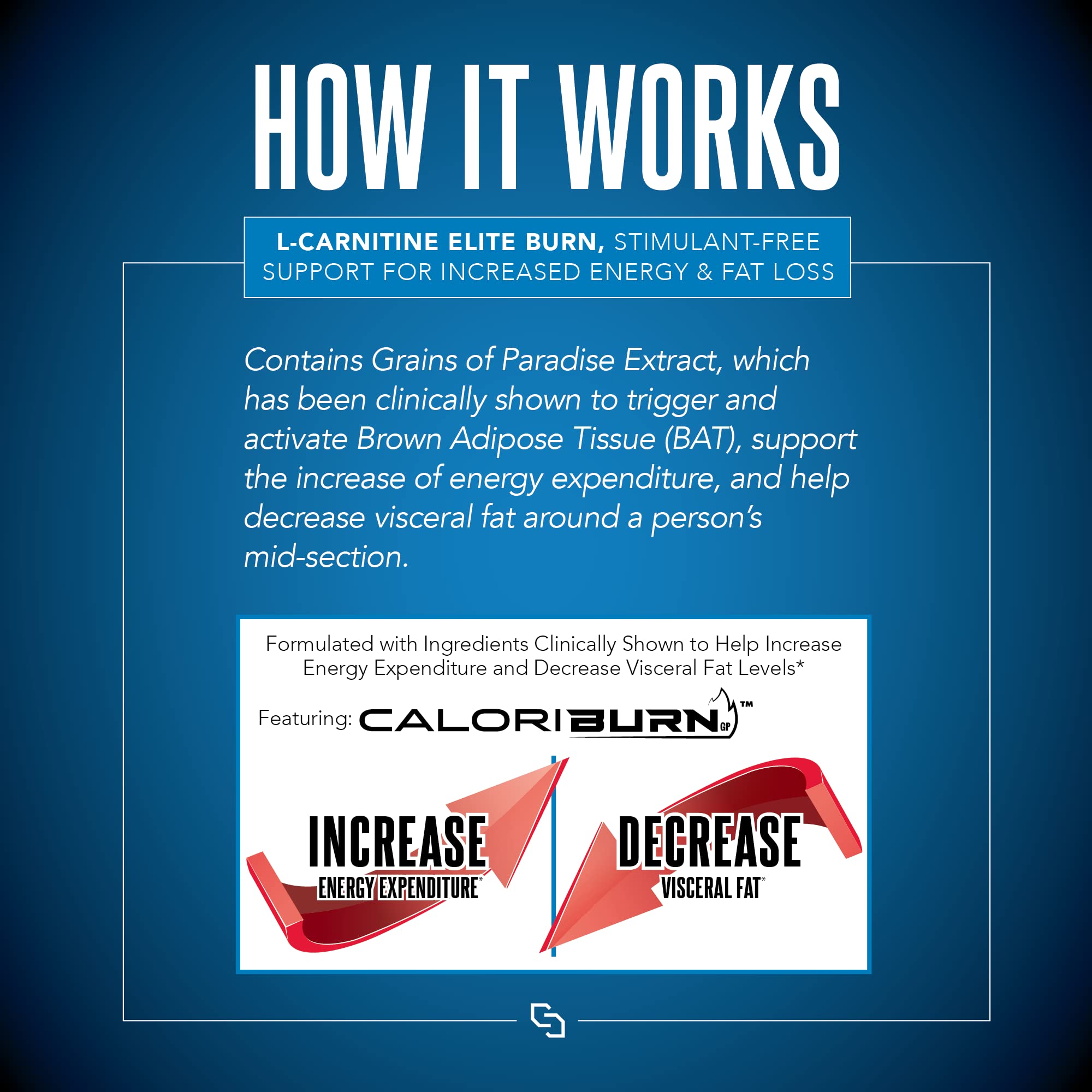 SIRENLABS L-Carnitine ELITE BURN packaging on a kitchen counter