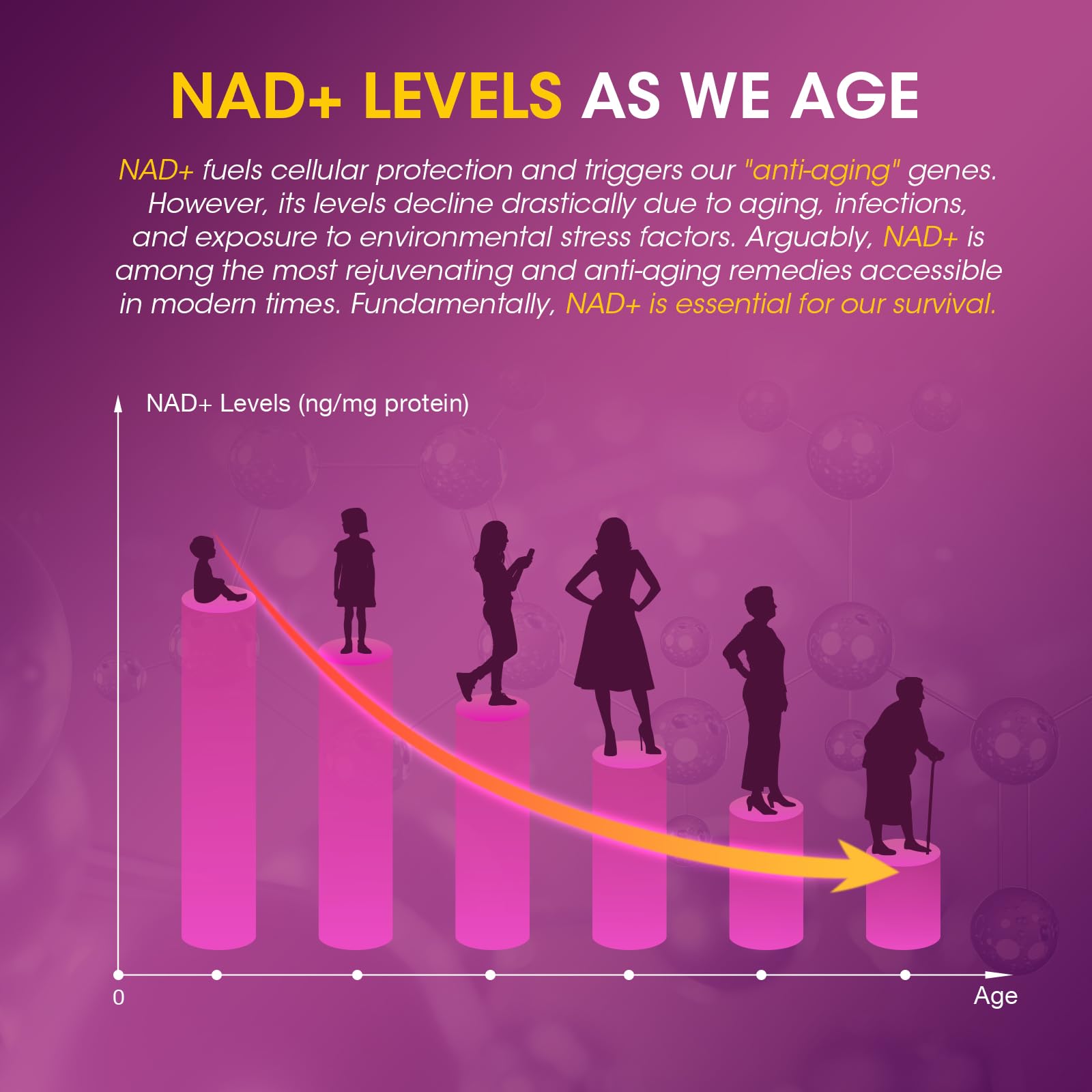 Sizyok NAD Resveratrol Gummies in a lifestyle setting