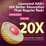 Sizyok NAD+ Supplement packaging with ingredients list