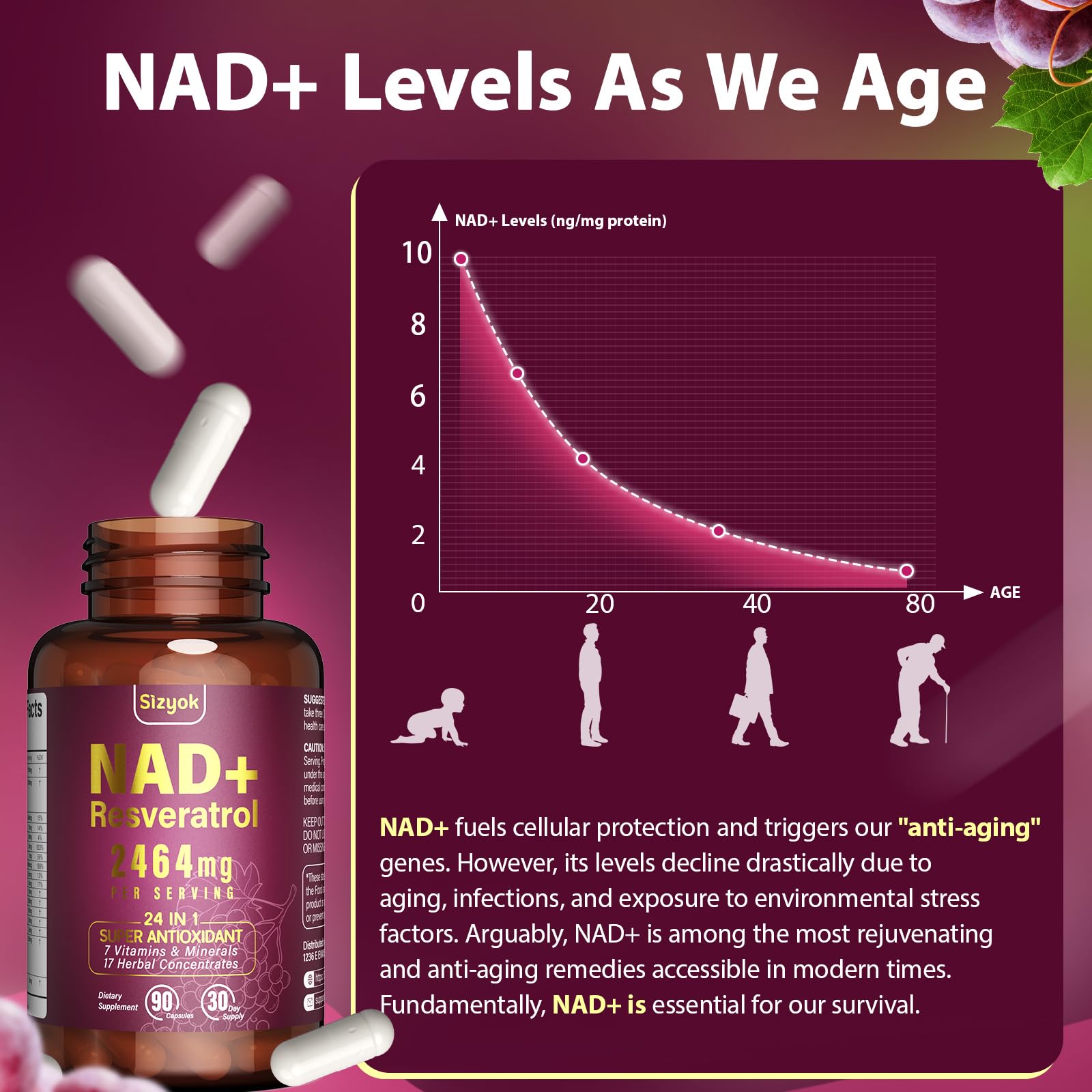 Sizyok NAD+ Supplement with measuring spoon