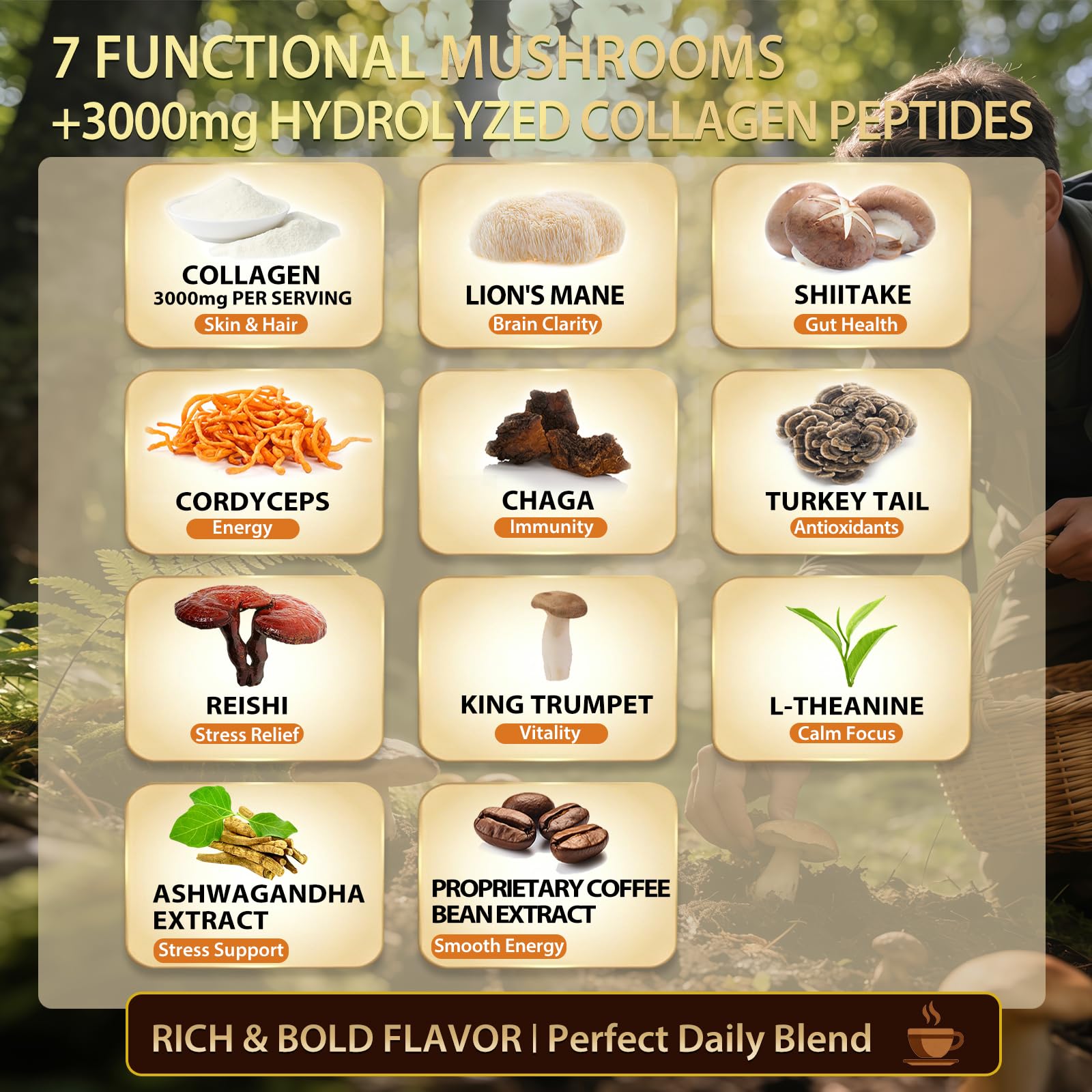 Skylorin Mushroom Coffee instant packets with ingredients
