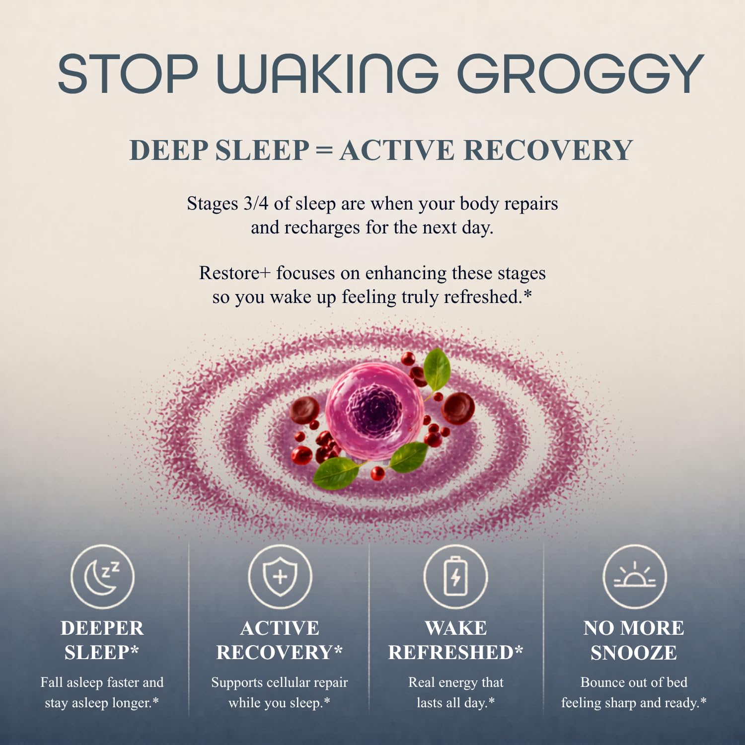 Sleep Habits Restore Nighttime Sleep Drink ingredients list