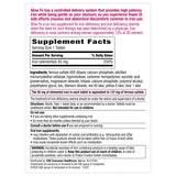 Slow Fe Iron Supplement 45mg tablets on a table