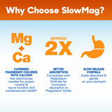 Slow-Mag Magnesium Chloride Supplement 168g with other supplements