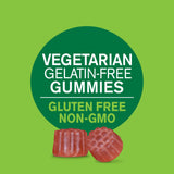 SMART MONKEY TECHNOLOGIES Elderberry Gummies back view with ingredients