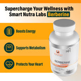 Smart Nutra Labs Berberine 1200mg vegan capsules back label
