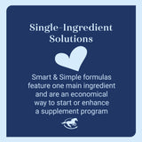SmartEquine MSM Pellets horse supplement in a scoop