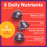 SmartyPants Kids Triple Action daily wellness Gummies nutritional information