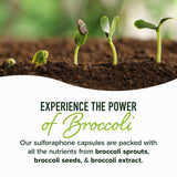 SMNutrition Broccoli Sprout Extract 50MG Activated Sulforaphane capsules