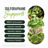 SMNutrition Broccoli Sprout Extract 50MG Activated Sulforaphane side view