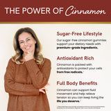 SMNutrition Sugar-Free Cinnamon Gummies bottle with 60 gummies