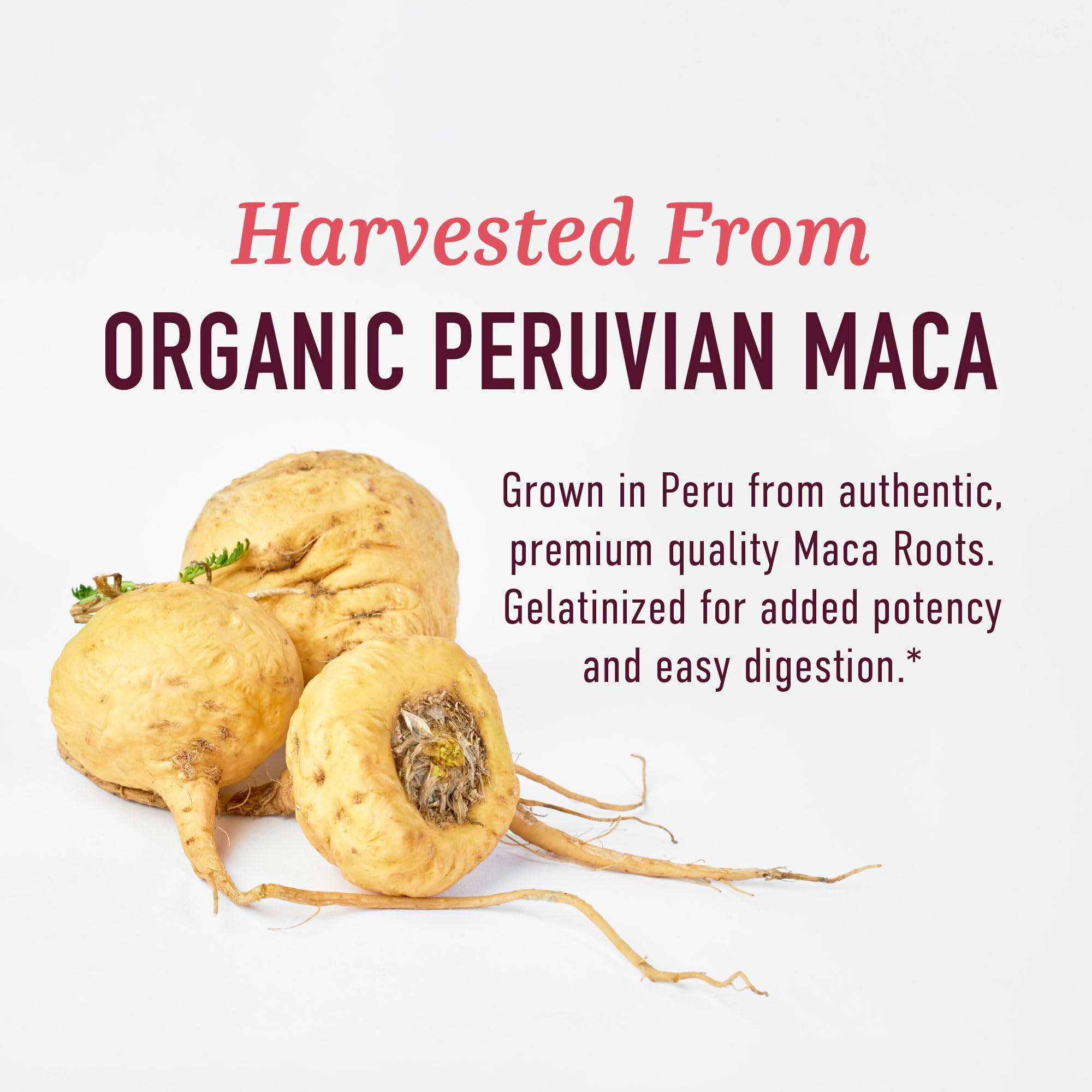 SMNutrition Women's Maca Root Capsules packaging details