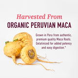 SMNutrition Women's Maca Root Capsules packaging details