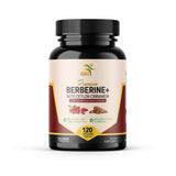 SMSHEALTHPRODUCTS.com Berberine+ with Ceylon Cinnamon 1200mg bottle front view