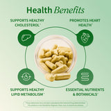 Snap Supplements Artichoke Supplement 100g ingredients list