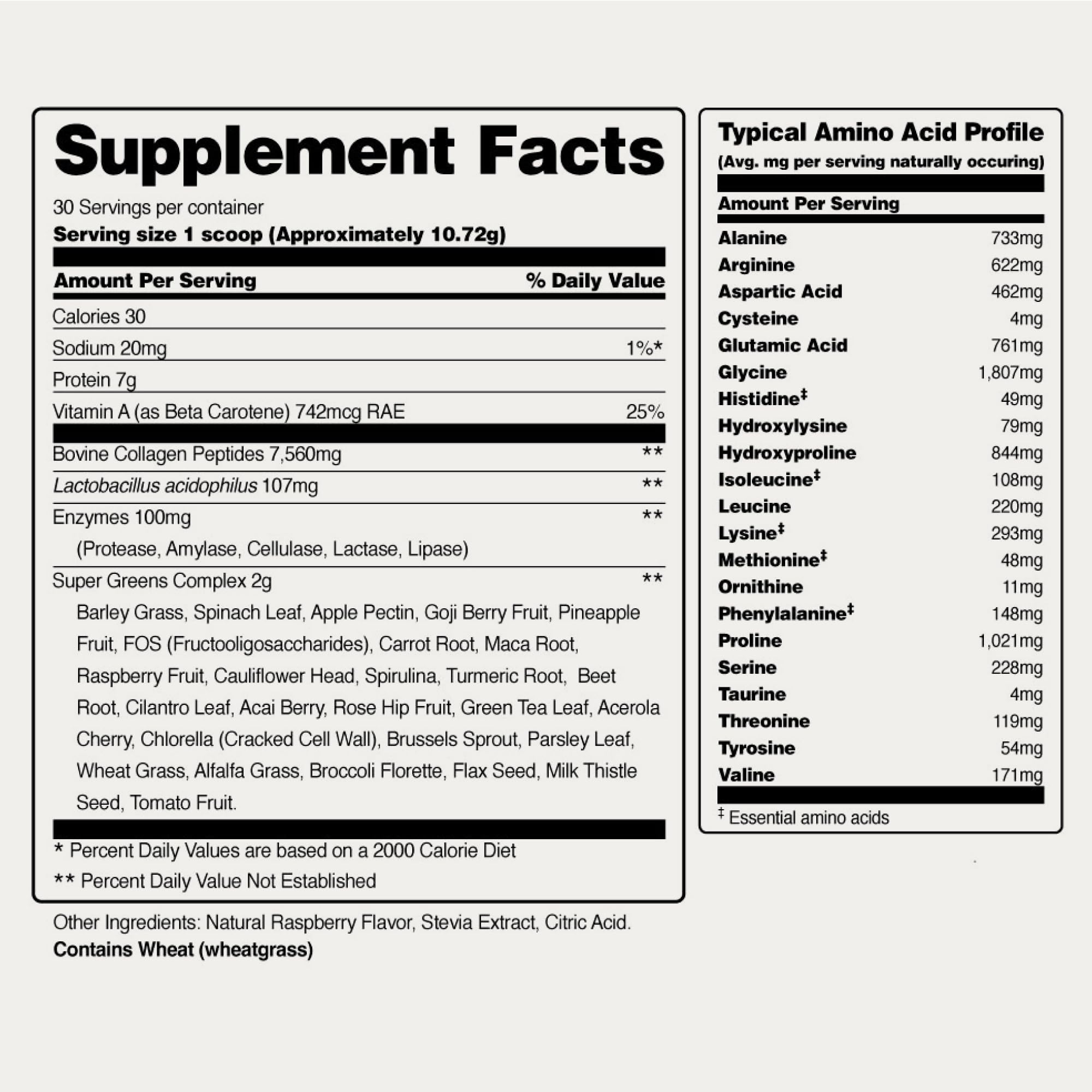 Snap Supplements Collagen Greens Superfood with fresh greens
