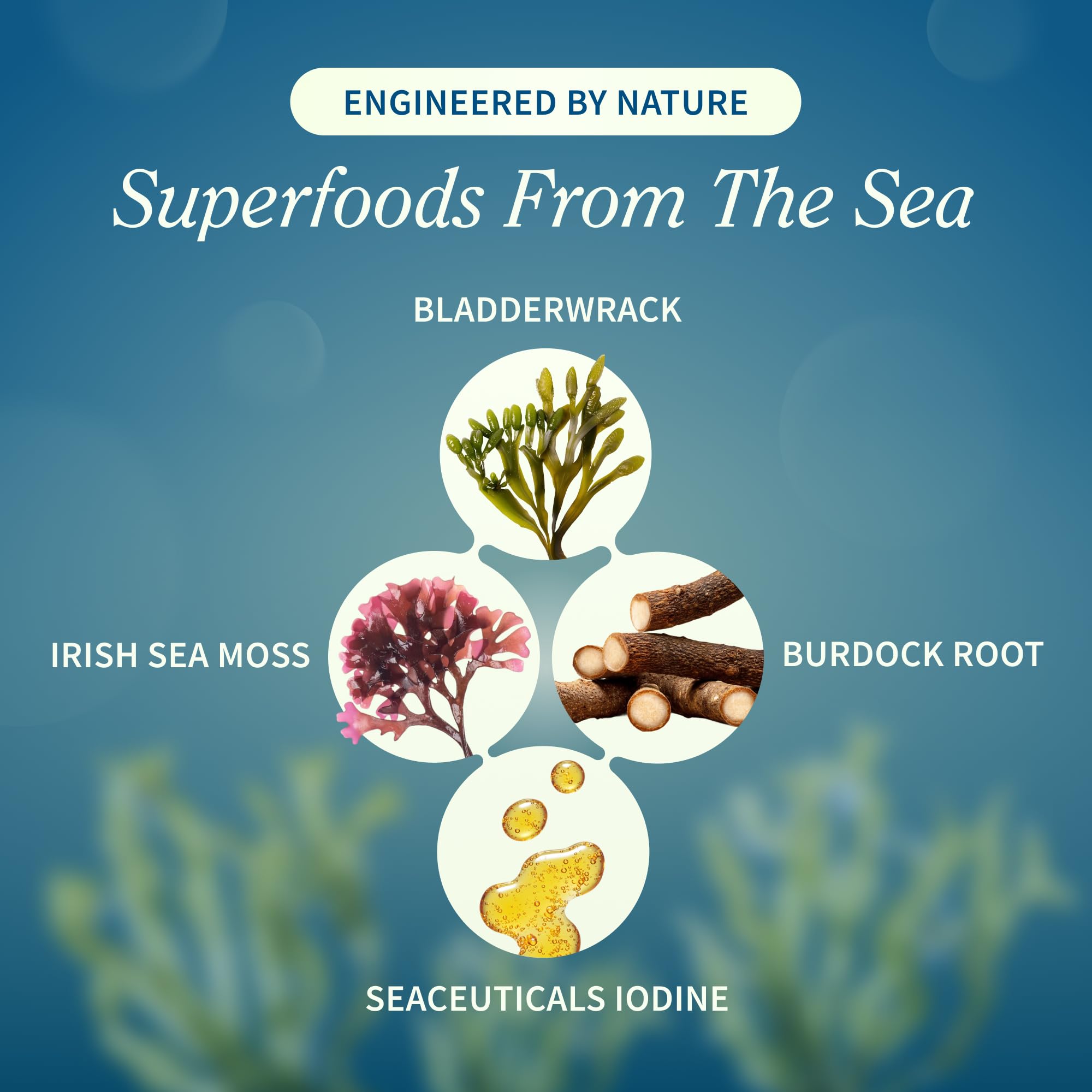 Snap Supplements Irish Sea Moss Capsules 500mg packaging