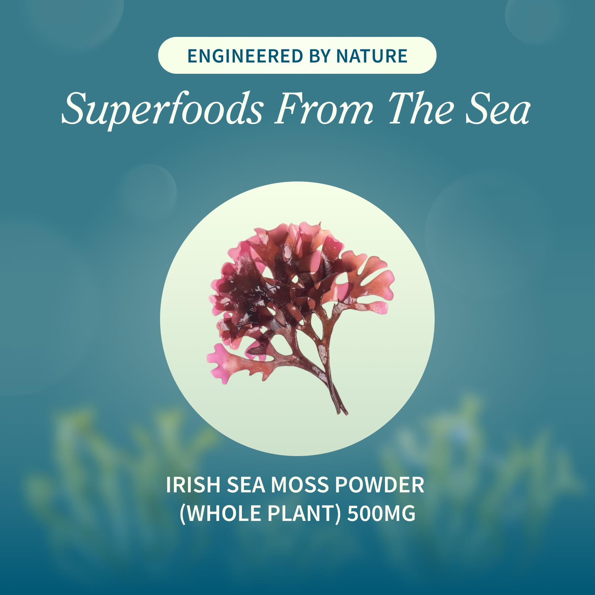 Snap Supplements Irish Sea Moss Soft Chews green apple flavour