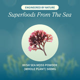 Snap Supplements Irish Sea Moss Soft Chews green apple flavour
