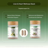 Snap Supplements Liver Health & Cholesterol Support Bundle on a kitchen counter