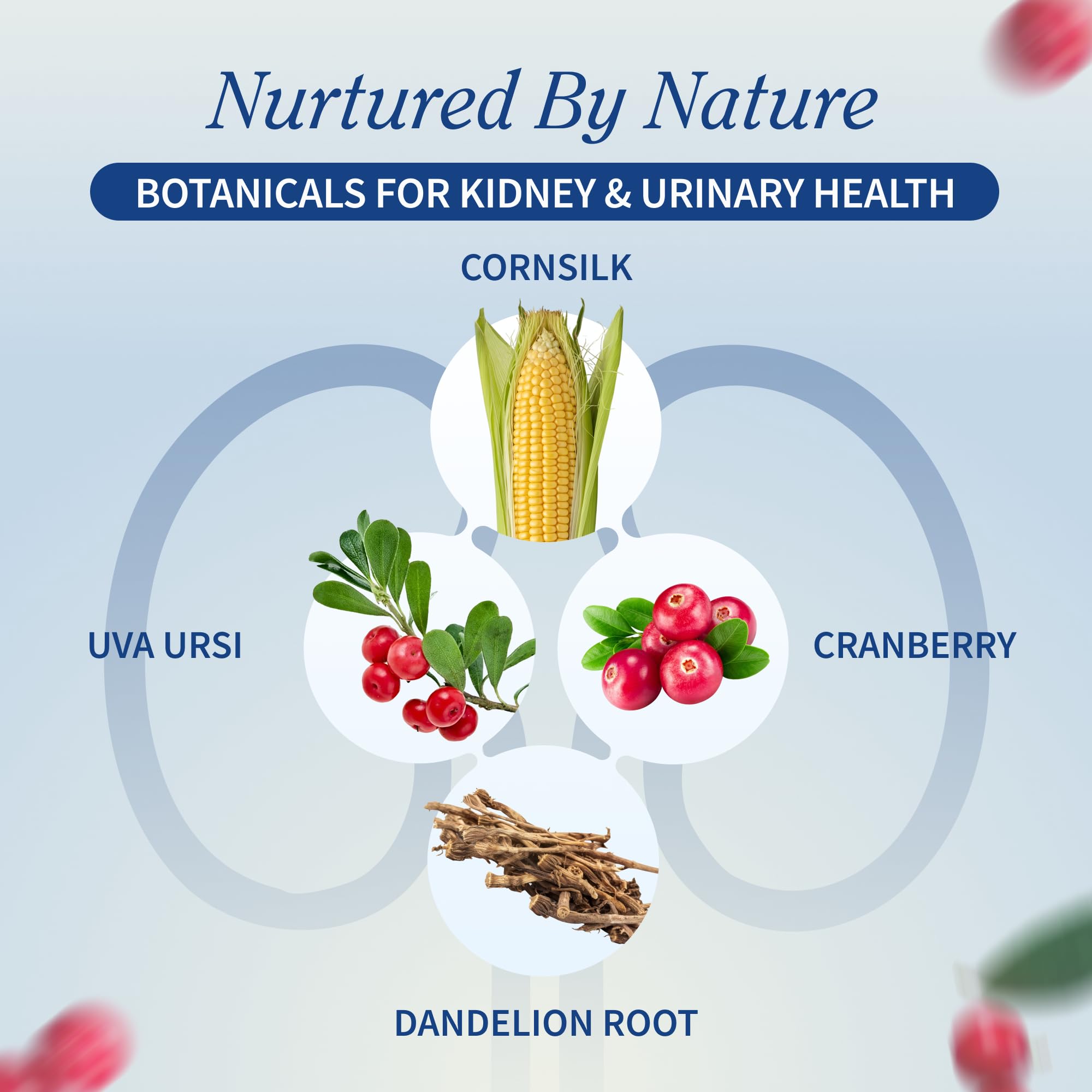 Snap Supplements Liver & Kidney Health Bundle on a wooden table