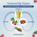 Snap Supplements Liver & Kidney Health Bundle on a wooden table