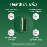 Snap Supplements Organic Spirulina & Chlorella Superfood Blend side view