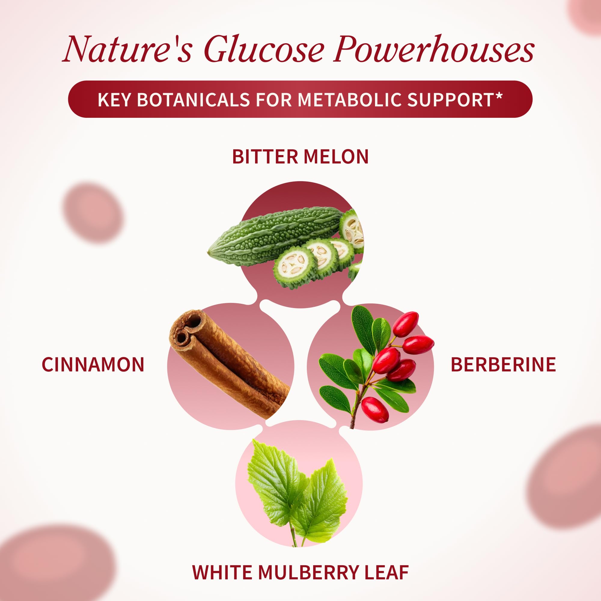 Snap Supplements Turmeric Capsules with ingredients list