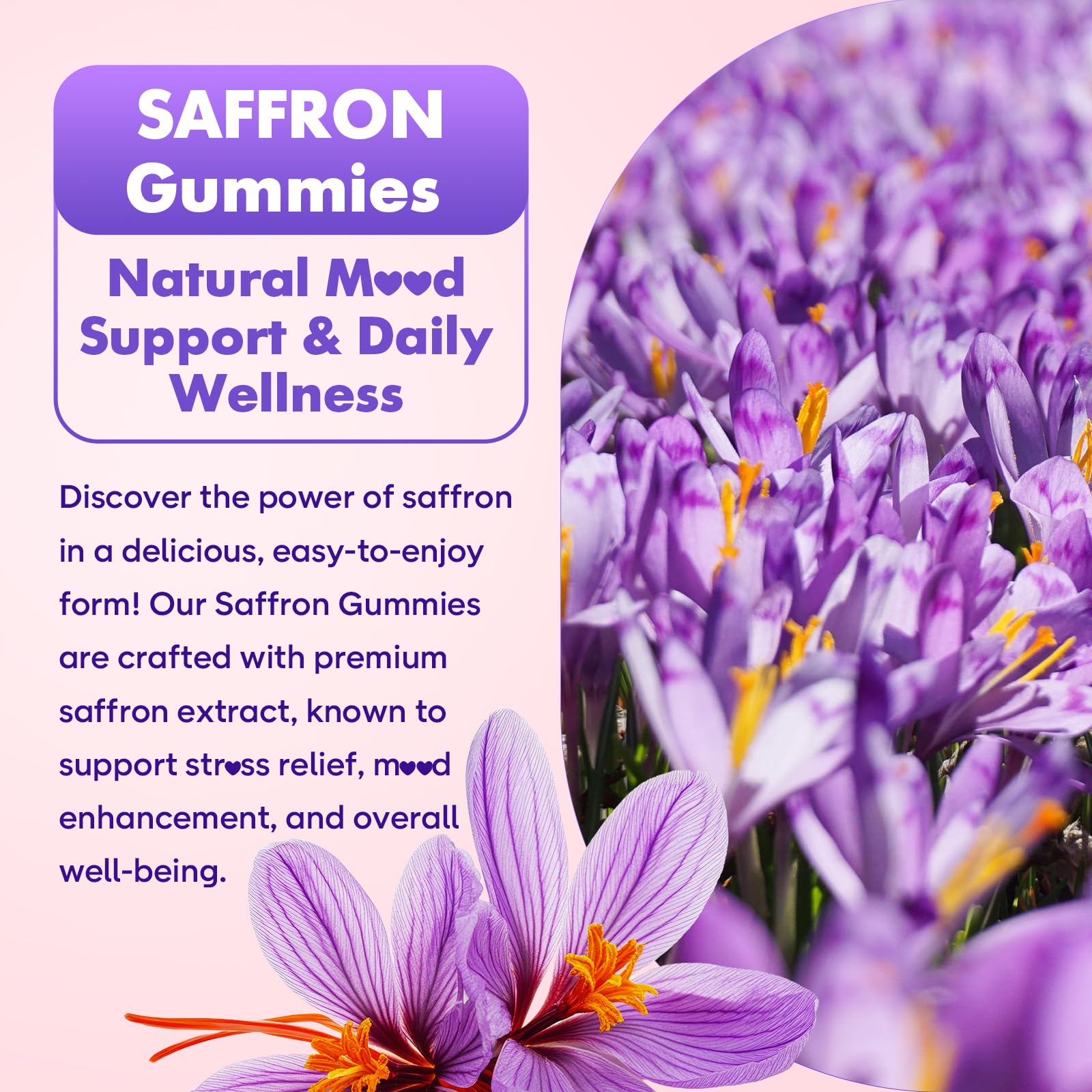 softbear Saffron Gummies close-up of strawberry flavour