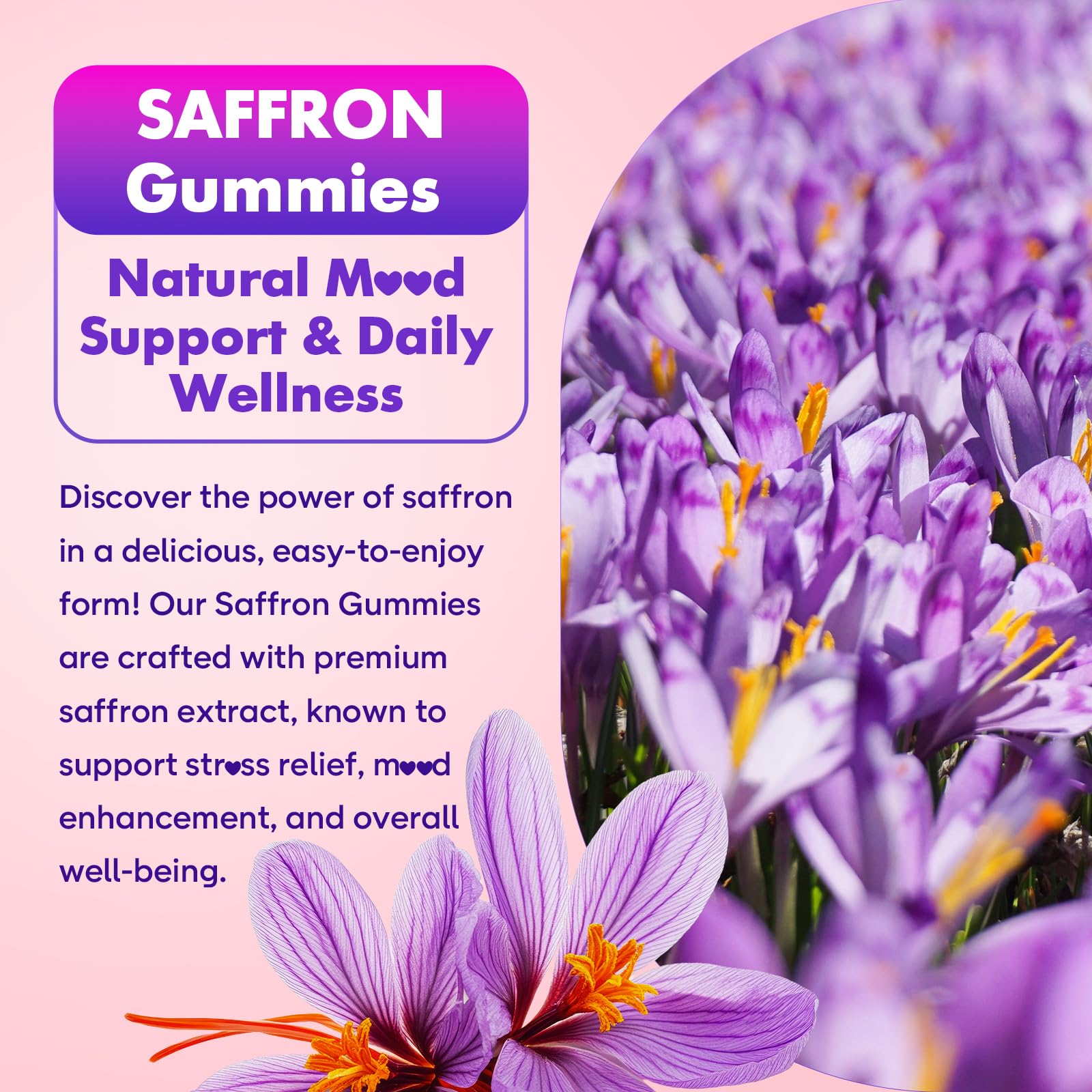 softbear Saffron Gummies on a wooden table
